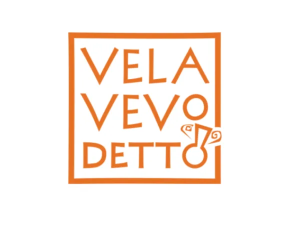 Velavevodetto a Milano, foto 13